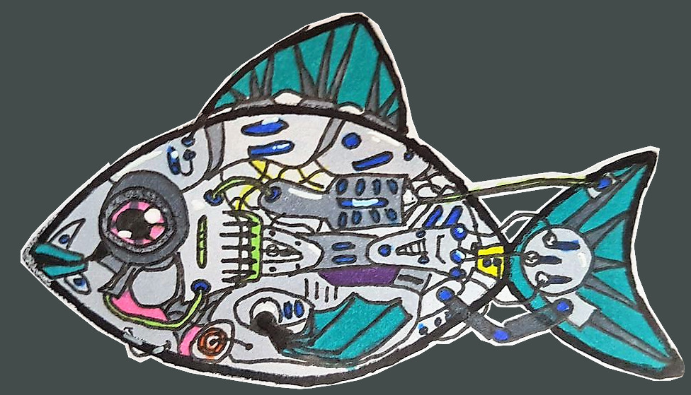 Fisch, gezeichnet von Florian Seidel