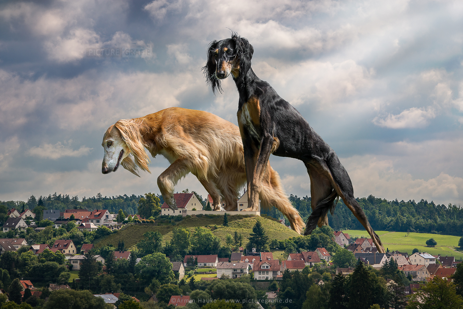 GC6WM4A Schloss Altenberg (Traditional Cache) in Bayern, Germany