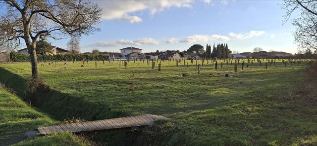 la forêt