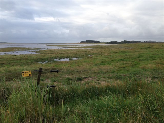 6262c660-d658-4b52-b923-dcc52a99fdb5_l.jpeg (640×480)