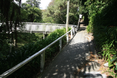 Pedestrian access across the gully