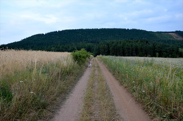 Droga prowadząca do kaplicy