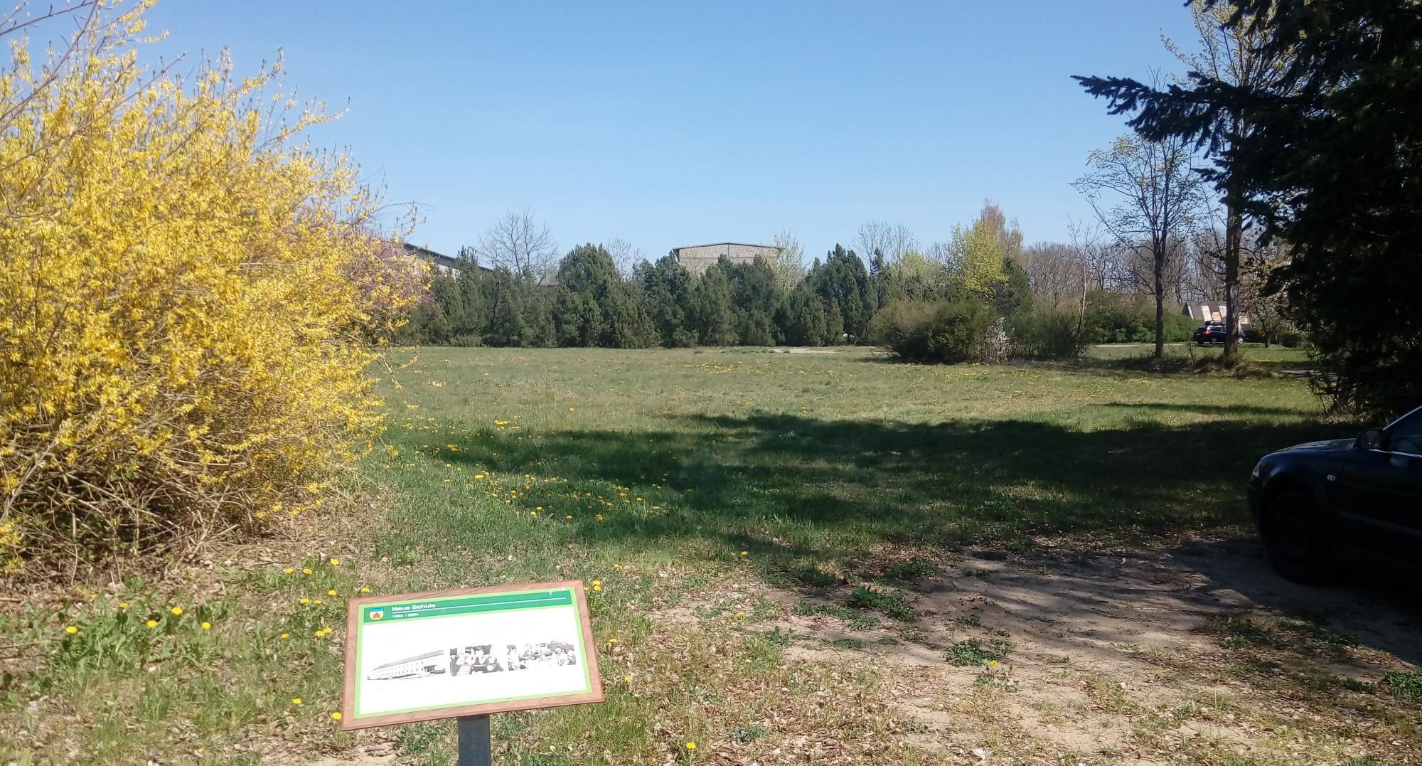 Brachfläche Neue Schule 2019