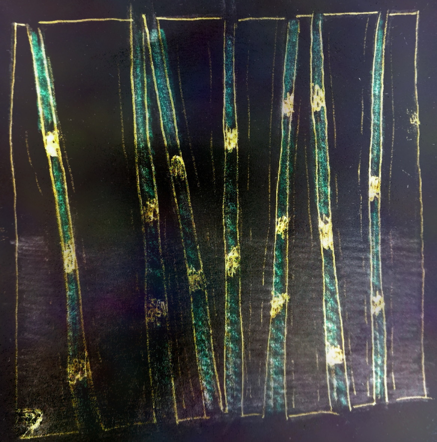 Glühender Schachtelhalm 