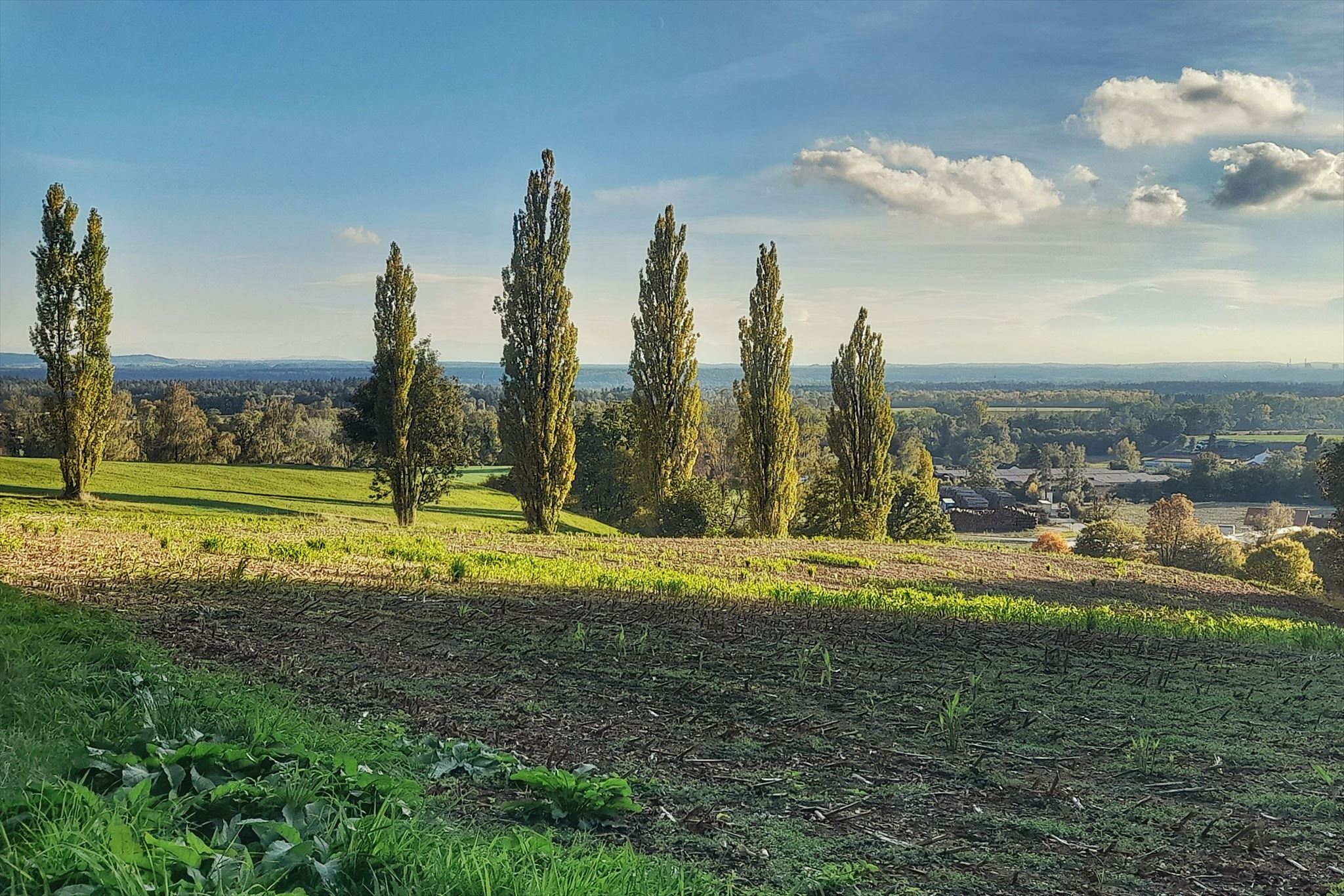Ausblick