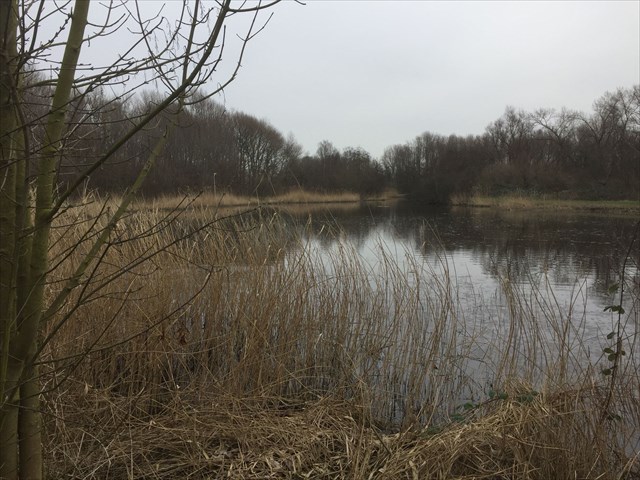 Wijde Slik in de winter