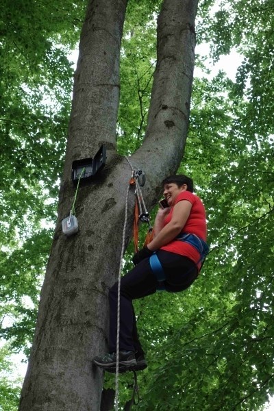 Několik T5 pracovních rozhovorů...