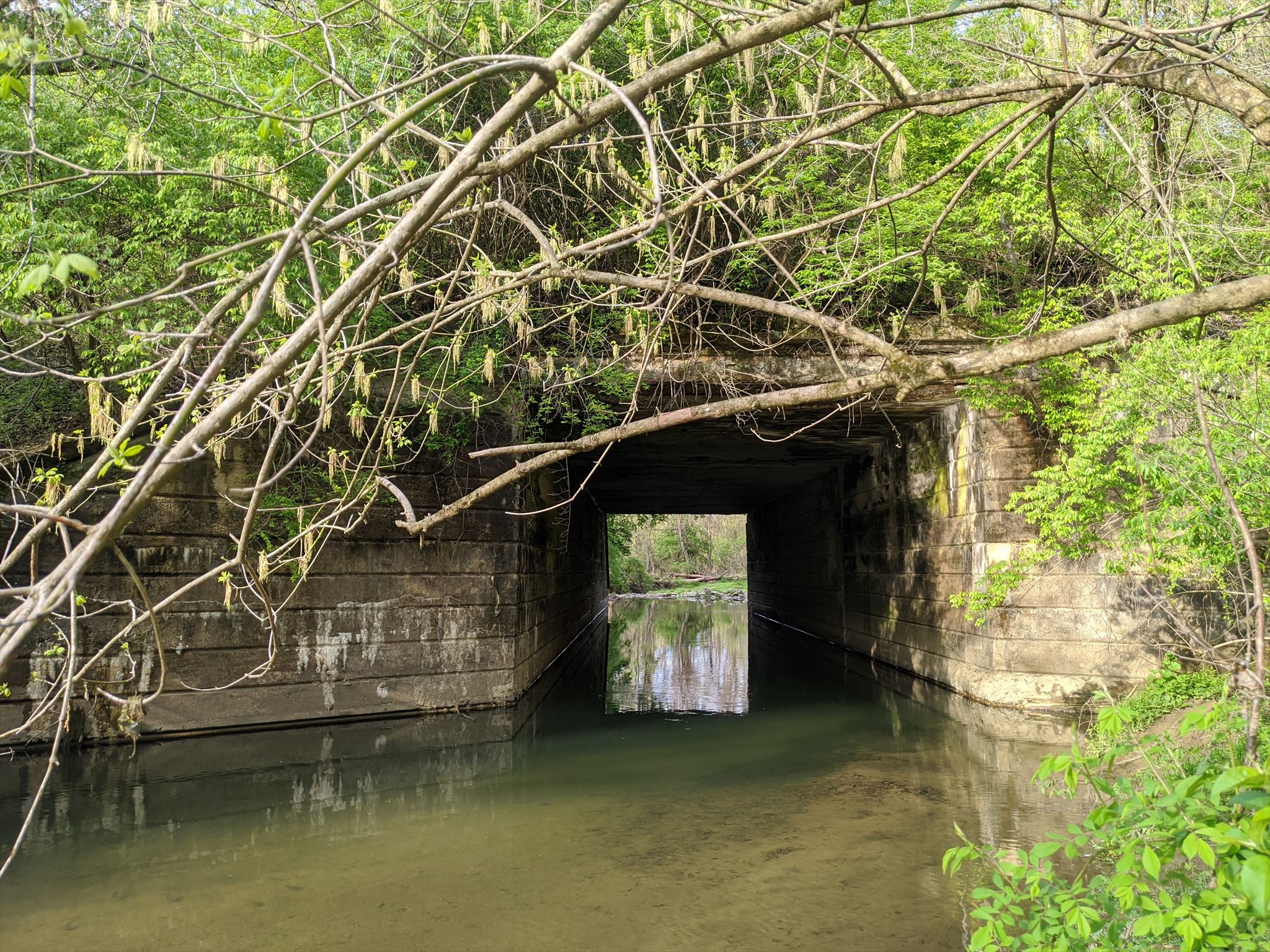 Cedar Hollow Railroad bridge over Valley Creek