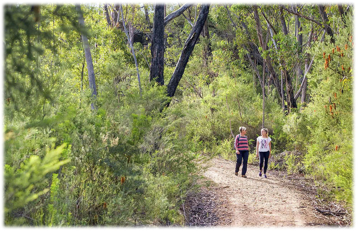 walking on the trail