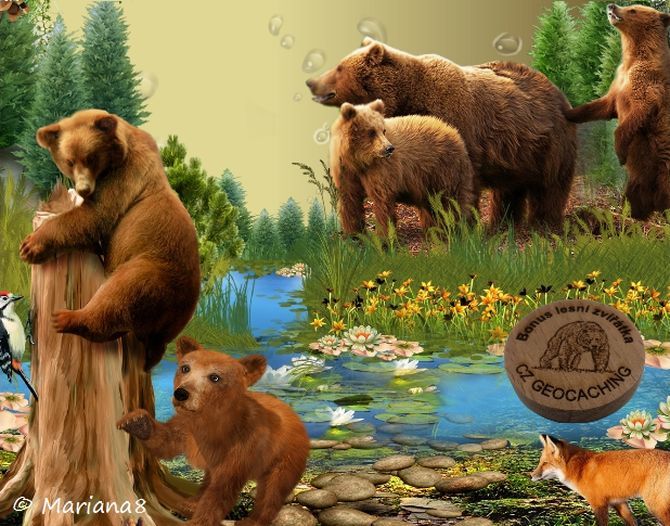 Bonus Lesní zvířátka-UNDER