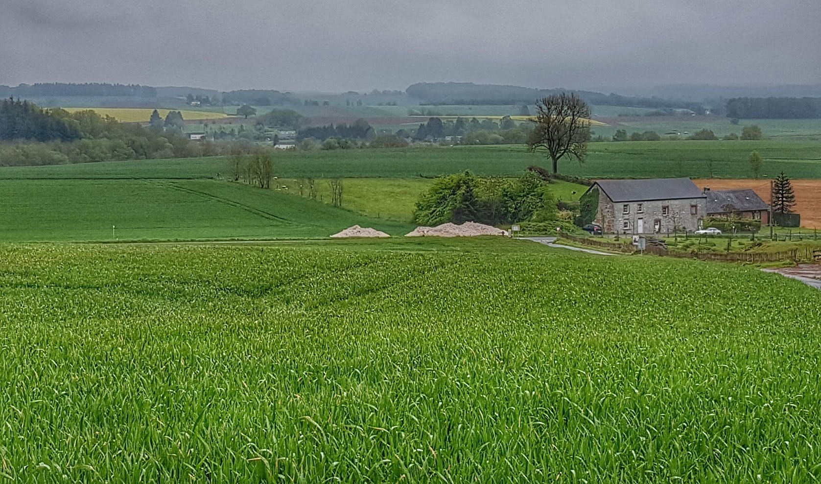 Mars-aux-Frênes, 2019