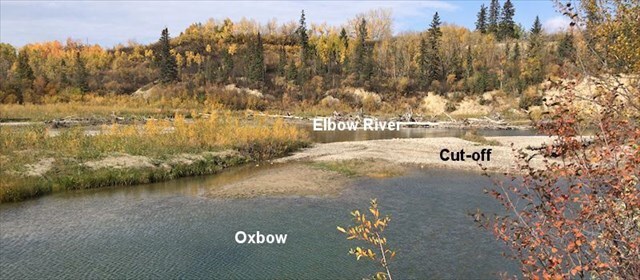 Oxbow lake forming Oxbow lake forming