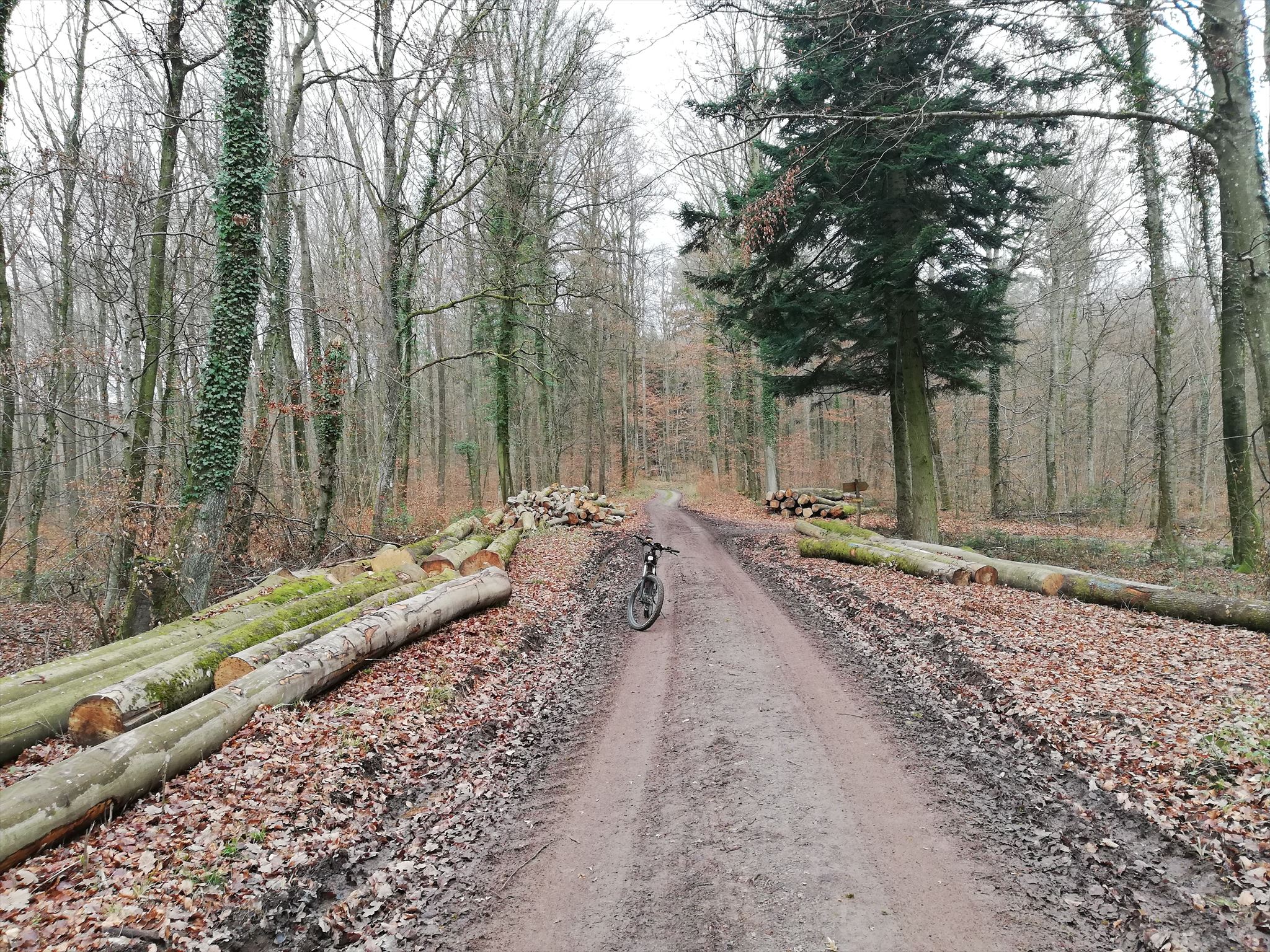 weg