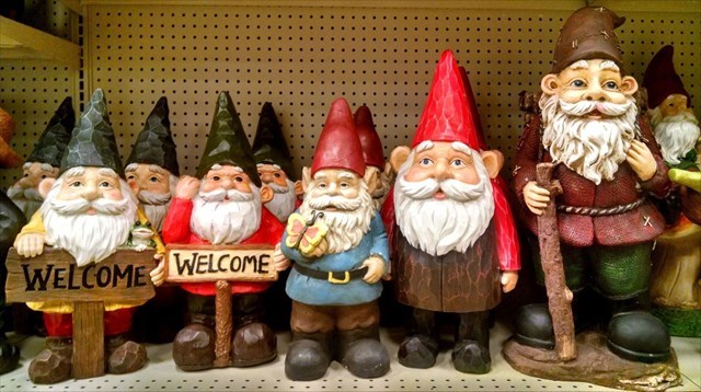 Welcome Gnomies