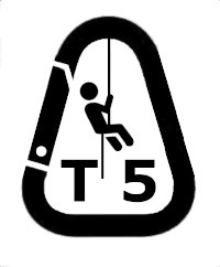 T5
