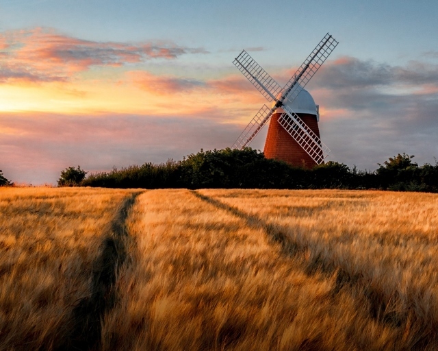 Halnaker Windmill