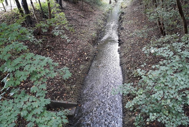 Schölsbach mit Wasser.
