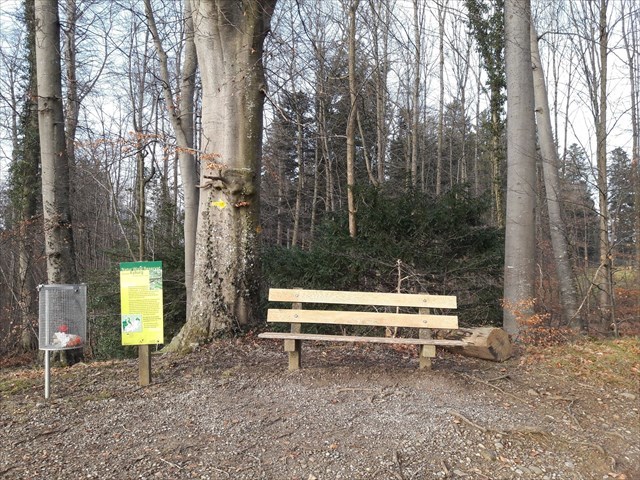 Bänkli beim Solenbach