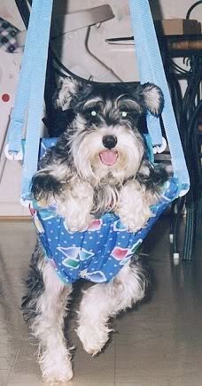 Photobucket - Video and Image Hosting