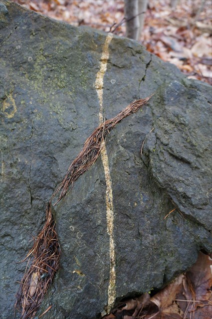 II