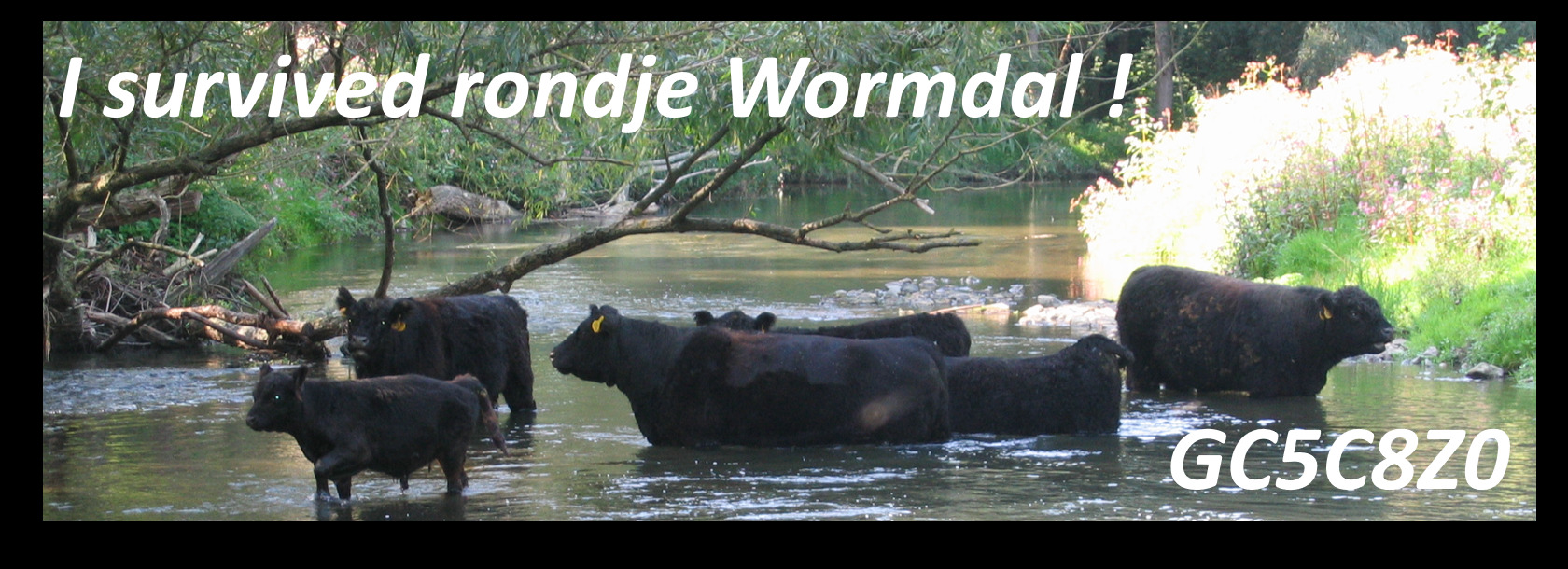 Rondje Wormdal - bonuscache