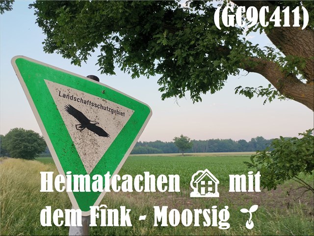 Heimatcachen 🏡 mit dem Fînk - Moorsig 🌱 - GC9C411
