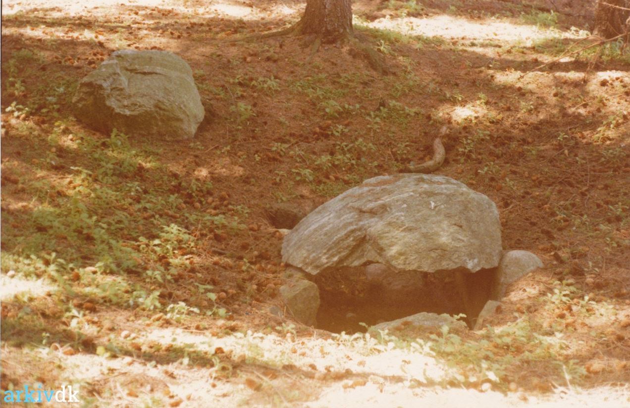 Jernaldergraven anno 1977. Fotograf Ingvard Mølbjerg. Klik for at se flere billeder på Arkiv.dk Jernaldergraven