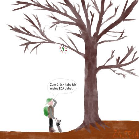 Comic - Das richtige ECA