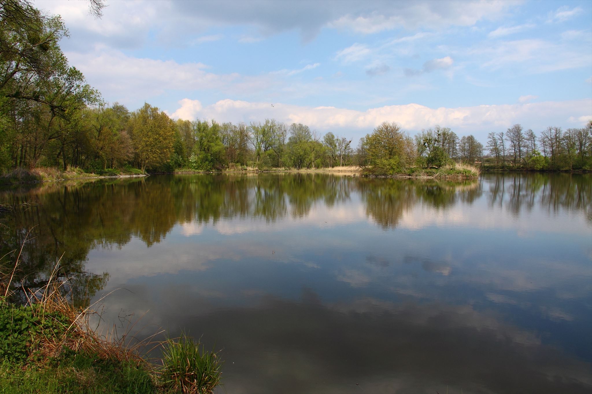 GC74V8C Dolnobenesovske rybniky 4 Prehyne (Traditional Cache) in