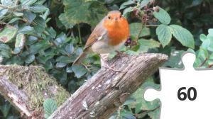 Jigsaw puzzle - BM-14 Robin