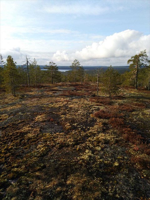 Näkymä Sinettäjärvelle