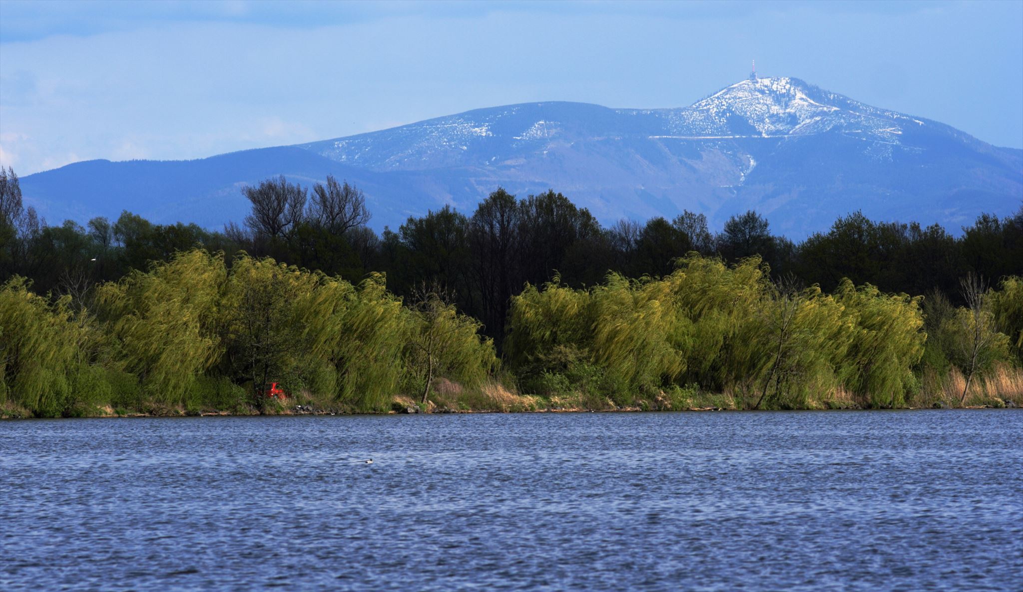 Pohled na Lysou horu od Bezruče