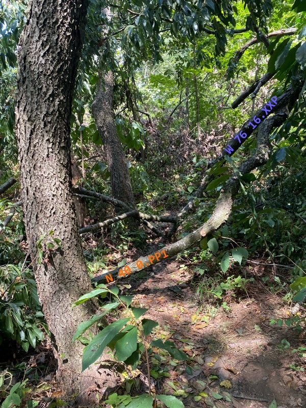 N 40 0.PP1 W 76 16.XXP