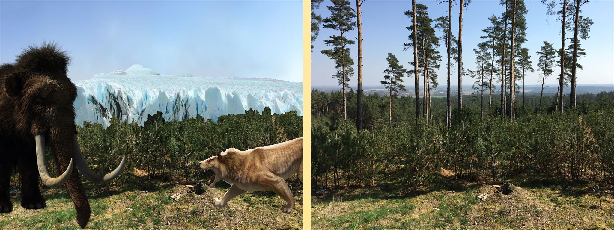 Pleistozän vs. Holozän