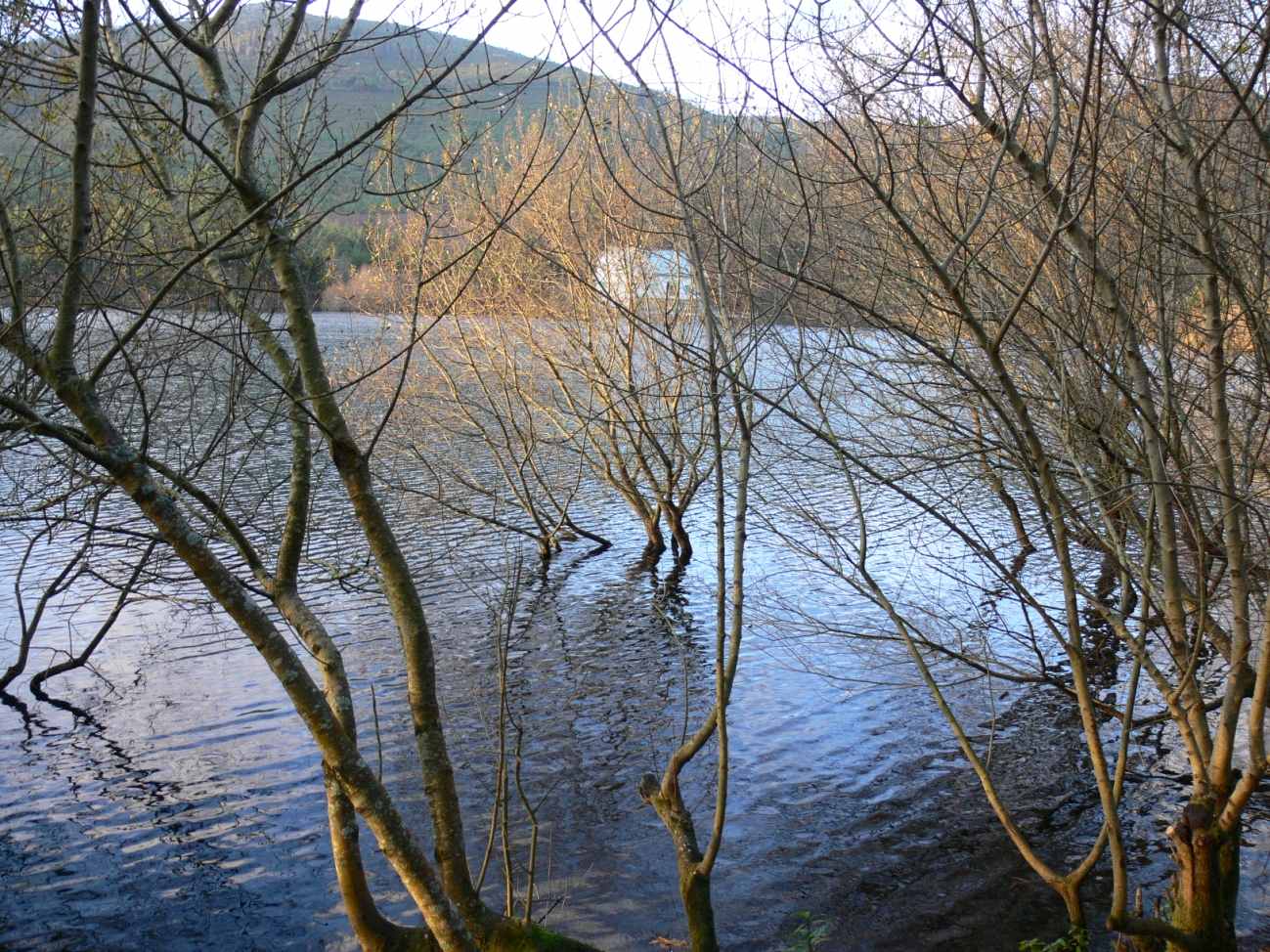 Embalse de Castrogudín.