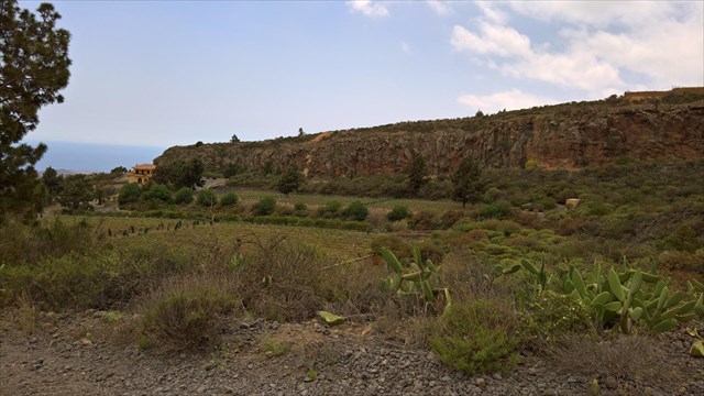 TF-Las Vegas #08.jpg