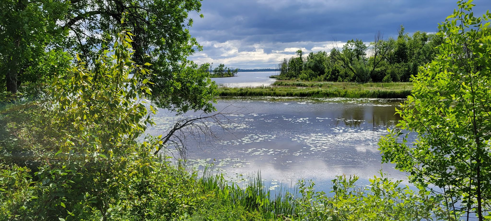 The River