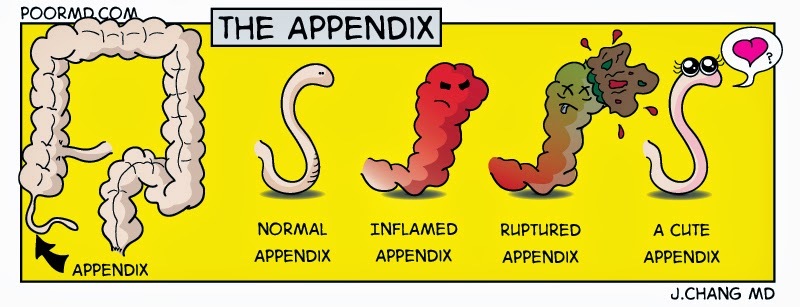 Appendix