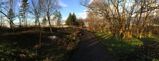 Revitalizace Bílá hora