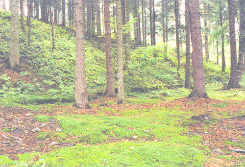 Místo obnovovaného vstupu do dolu