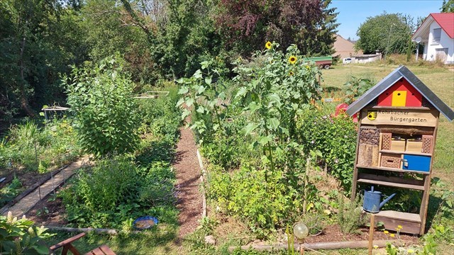 6f144767-6778-458e-a81c-78eb85f6acde_l.jpg (640×360)