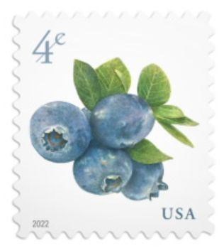 blueberries