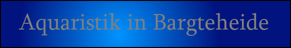 Aquaristik in Bargteheide