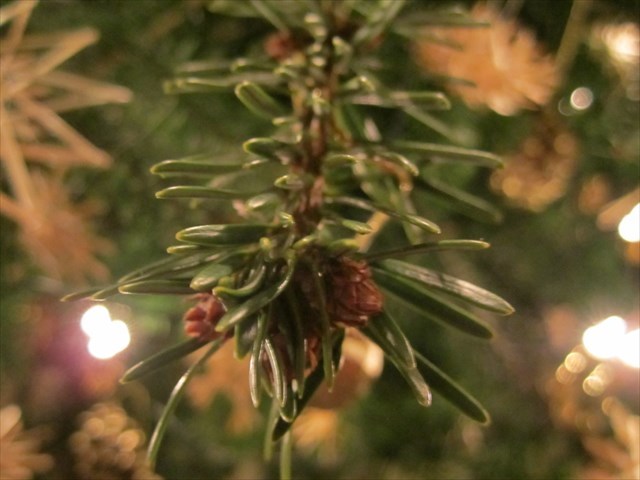 Weihnachtsbaum in Nahaufnahme, Strohsterne und Kerzen im Hintergrund