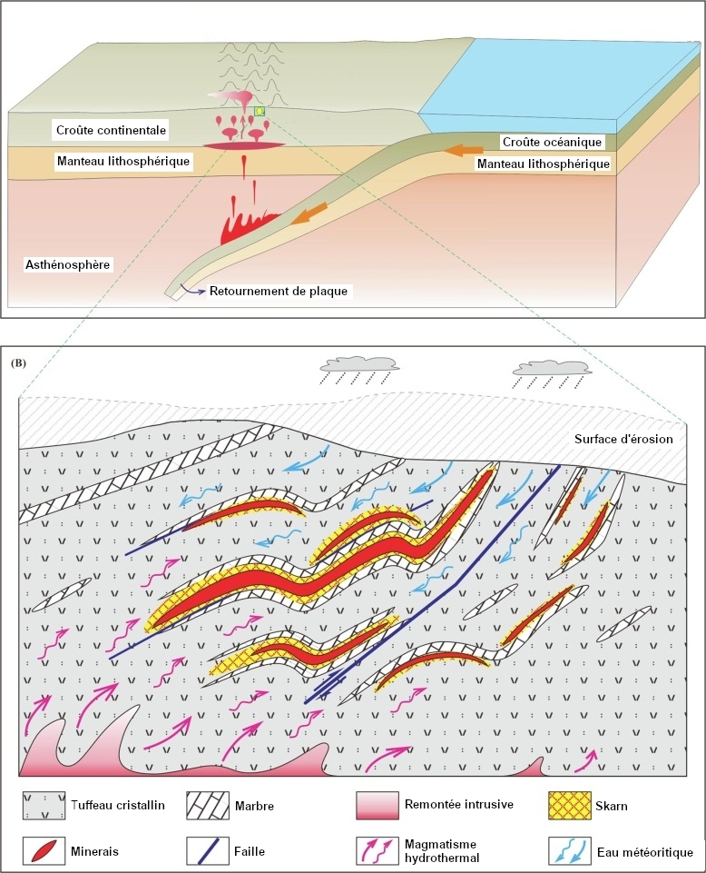 Formation des skarns