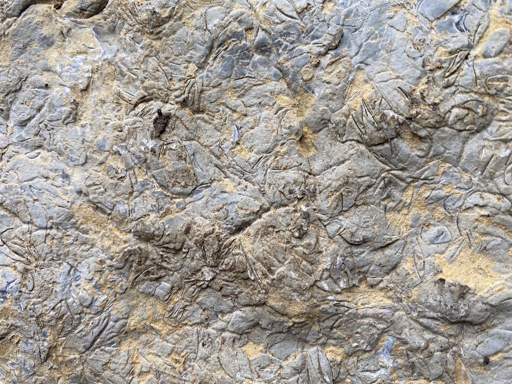 Handstück Handstück