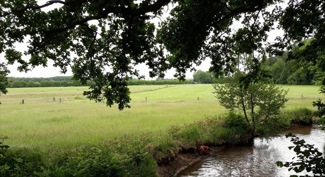 Wienbach nach Süden