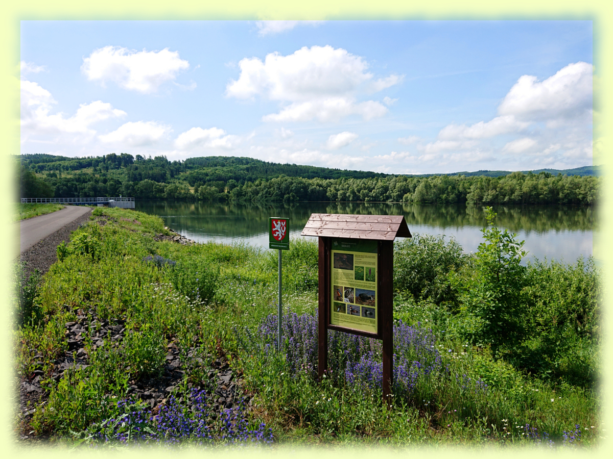 Pohled na vodní nádrž a infotabuli (červenec 2021) Sedlec 2021