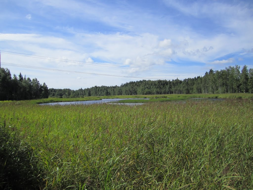 salijärvi
