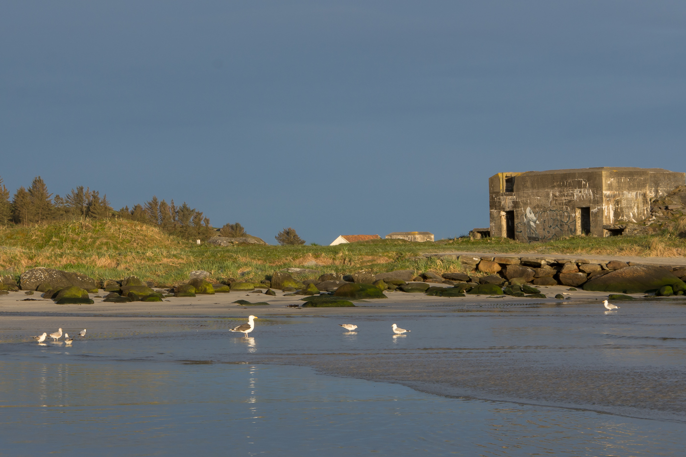 Bunker på Rægestranden